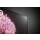 LG OLED55B13LA - 635941 - zdjęcie 5